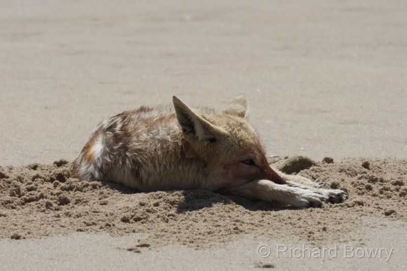 Namibia - 2024-10-24 14.32.472024-11-19 06.39.15