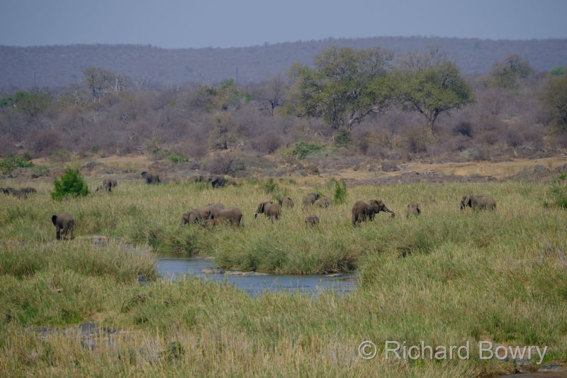 Kruger at 2025-10-15 14.12.33