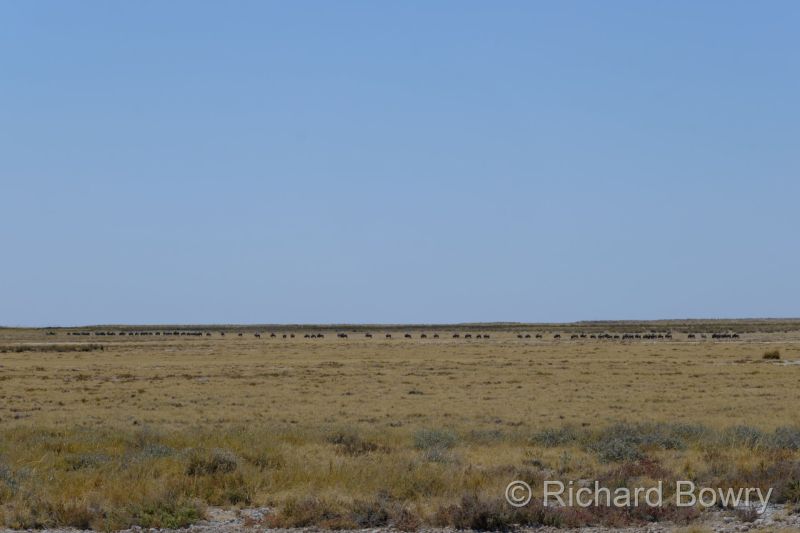 Namibia - 2024-10-30 10.18.402024-11-19 06.40.36