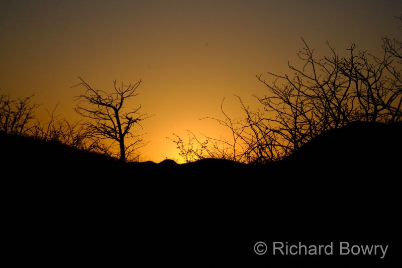 Namibia - 2024-10-26 06.31.032024-11-19 06.39.19