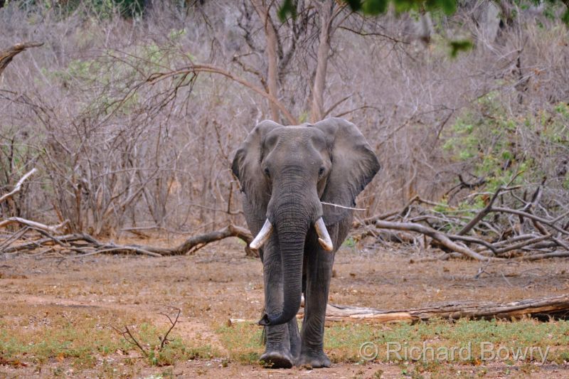 Zimbabwe on 29-11-22 at 08-20-54