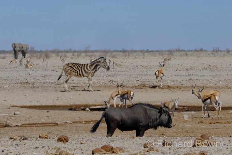 Namibia - 2024-10-29 09.45.332024-11-19 06.40.13