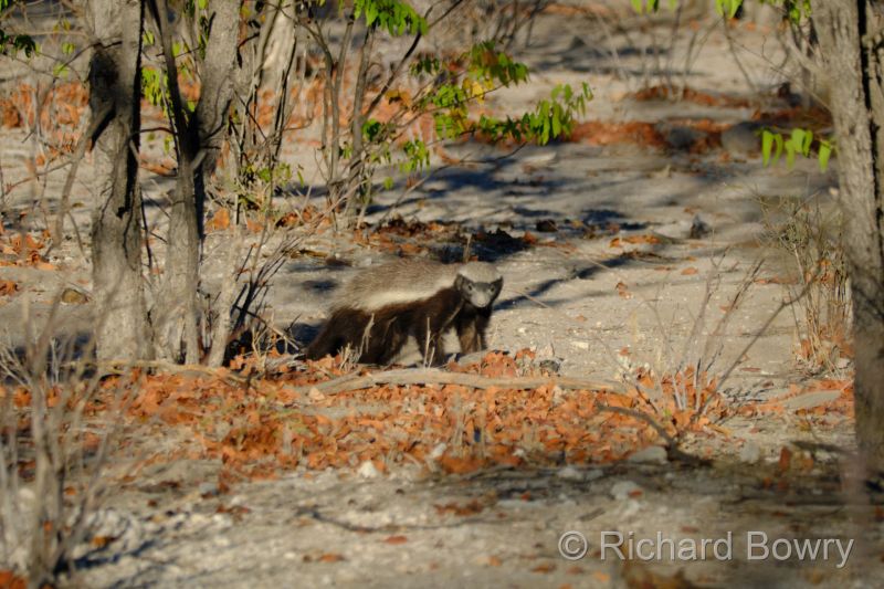 Namibia - 2024-10-29 07.03.102024-11-19 06.40.06
