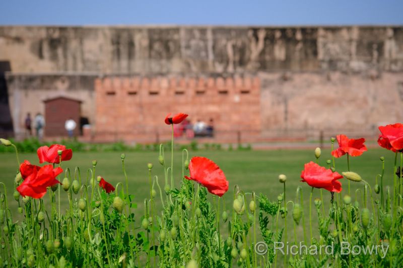 Agra at 2026-02-06 12.31.33