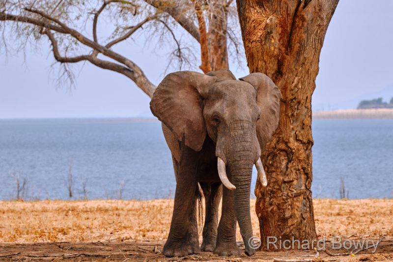 Zimbabwe on 27-11-22 at 11-34-01