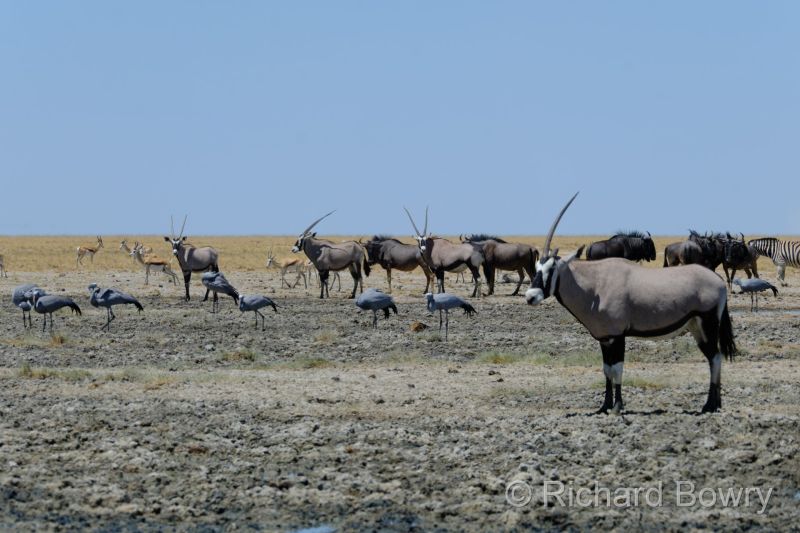 Namibia - 2024-11-01 11.17.242024-11-19 06.41.35