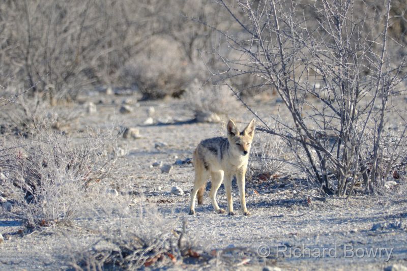Namibia - 2024-10-29 07.27.402024-11-19 06.40.08