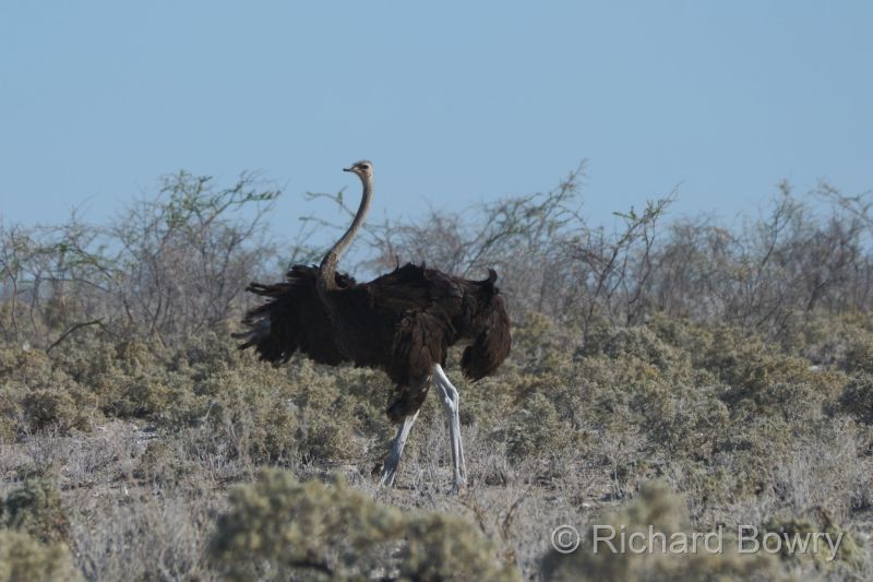 Namibia - 2024-10-28 16.56.502024-11-19 06.39.59