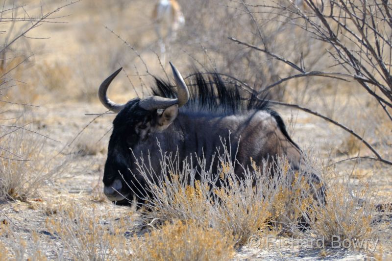 Namibia - 2024-10-29 09.29.312024-11-19 06.40.10