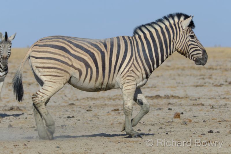 Namibia - 2024-10-31 08.19.422024-11-19 06.40.53