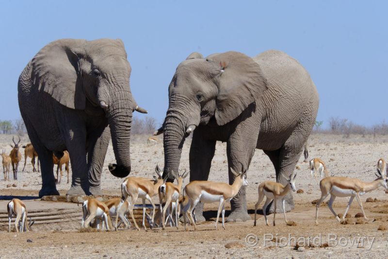 Namibia - 2024-10-29 10.05.442024-11-19 06.40.16