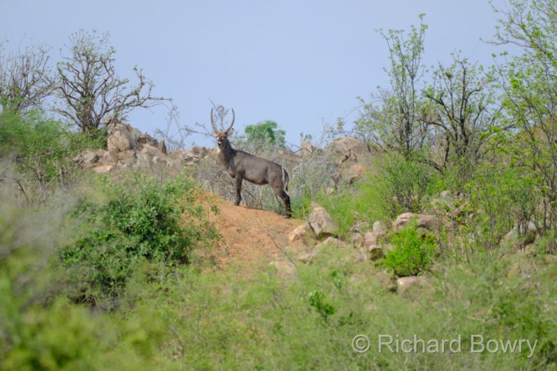 Zimbabwe - 2024-11-11 08.59.312024-11-19 06.45.56