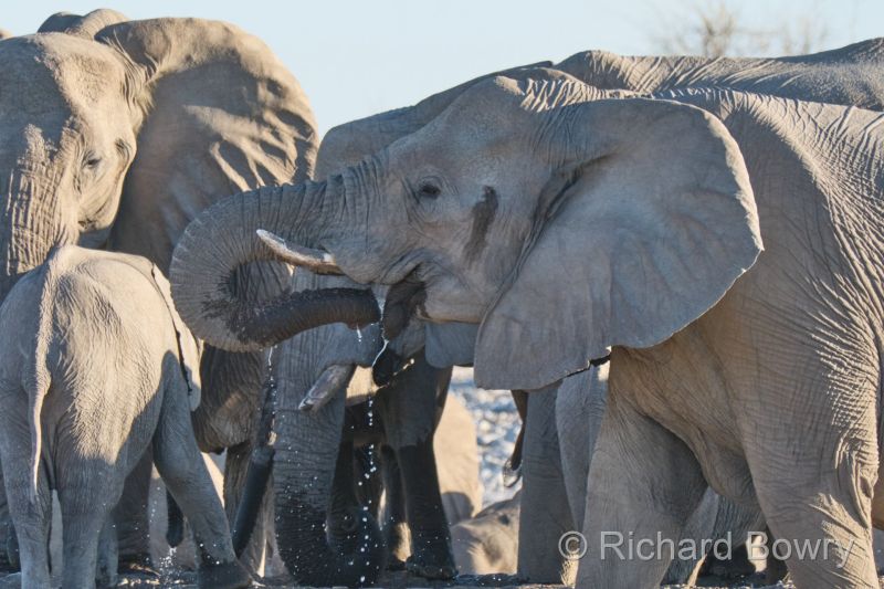 Namibia - 2024-10-28 18.21.472024-11-19 06.40.04