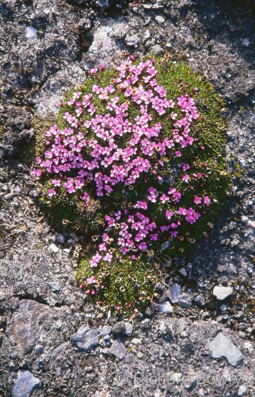 Svalbard (91 of 112)