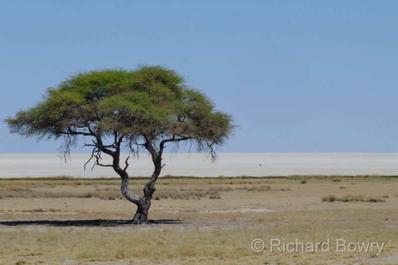 Namibia - 2024-10-30 10.34.162024-11-19 06.40.36