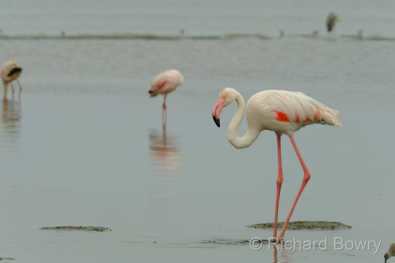 Namibia - 2024-10-24 09.12.542024-11-19 06.38.54