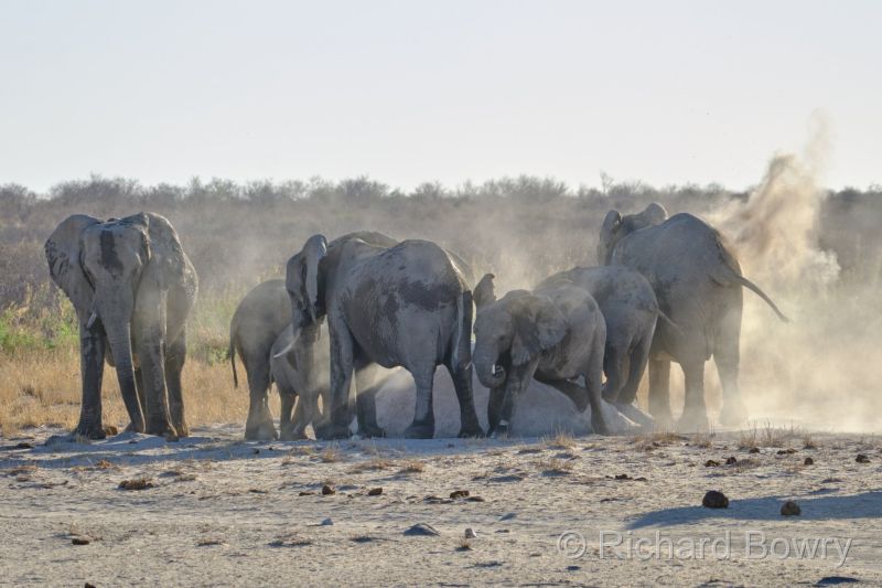 Namibia - 2024-10-31 17.53.232024-11-19 06.41.24