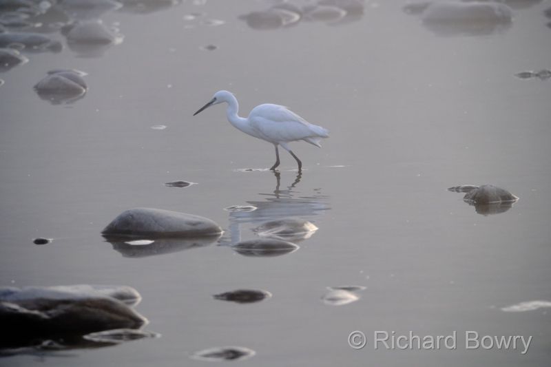 Corbett at 2026-02-03 08.08.15