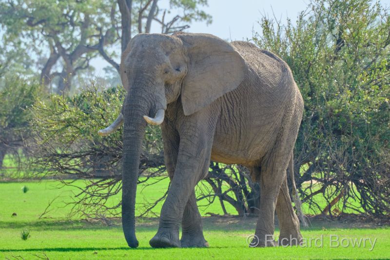 Zimbabwe - 2024-11-10 15.47.382024-11-19 06.45.50