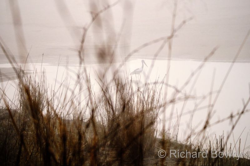 Corbett at 2026-02-03 07.37.16