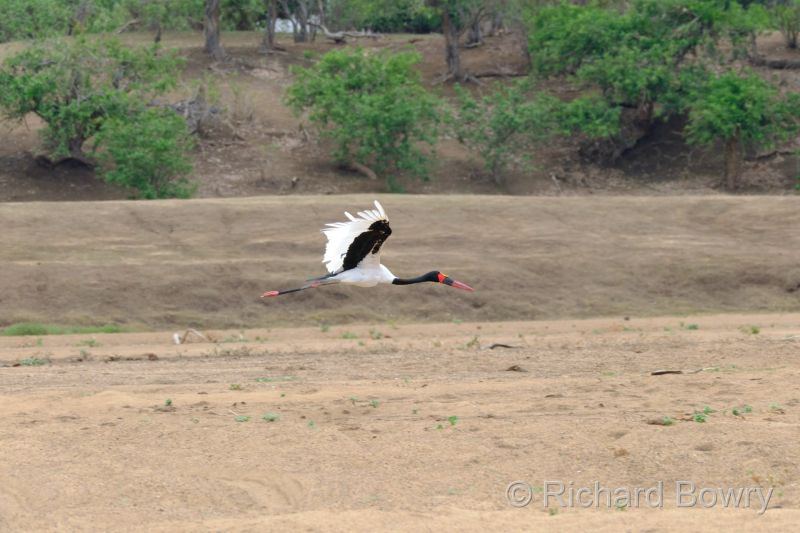 Zimbabwe - 2024-11-07 11.31.102024-11-19 06.45.00