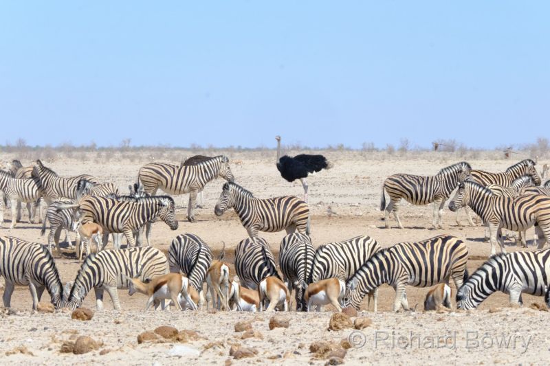 Namibia - 2024-10-29 09.54.302024-11-19 06.40.15