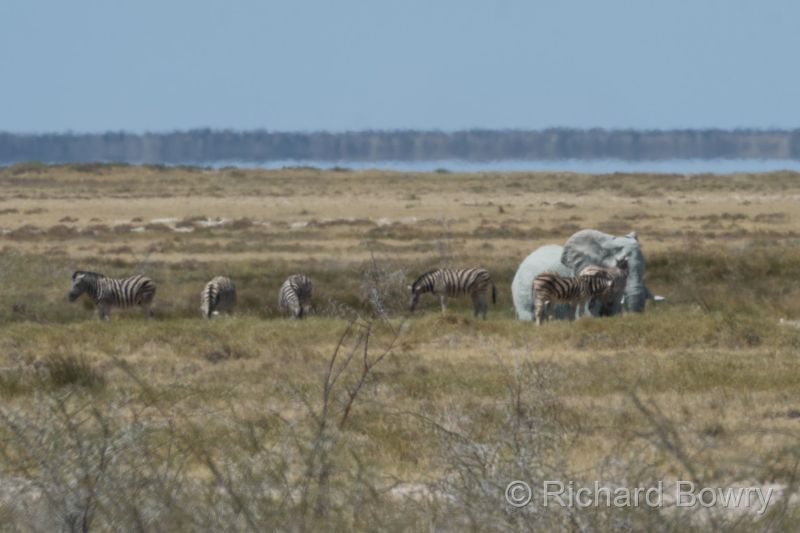 Namibia - 2024-10-30 14.44.382024-11-19 06.40.44