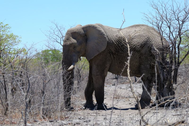 Namibia - 2024-10-30 12.50.532024-11-19 06.40.40