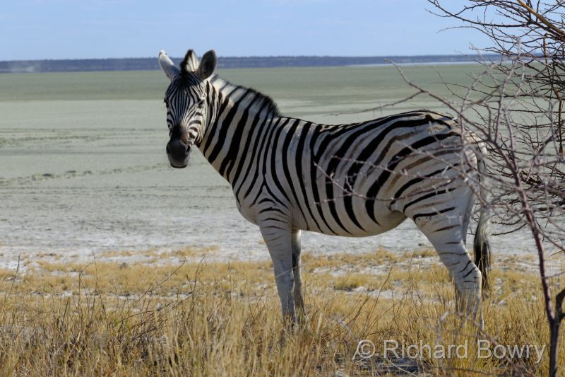 Namibia - 2024-11-01 16.47.262024-11-19 06.41.36