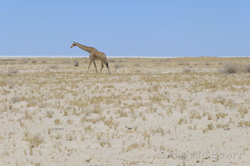 Namibia - 2024-10-29 13.28.272024-11-19 06.40.29