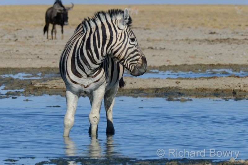 Namibia - 2024-10-31 08.28.122024-11-19 06.40.56