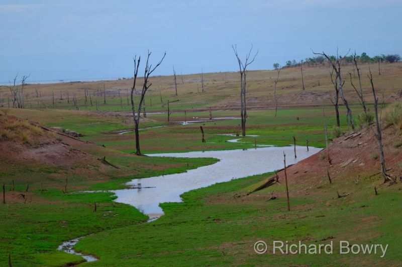 Zimbabwe on 28-11-22 at 16-28-27