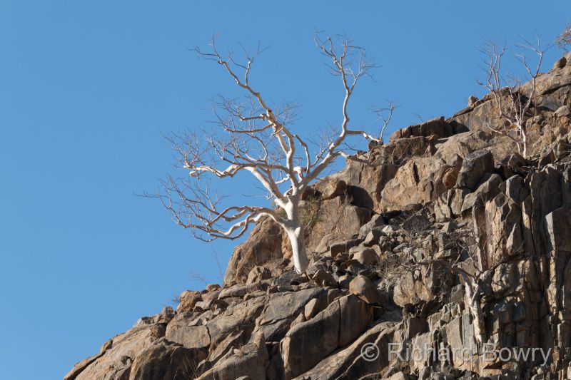 Namibia - 2024-10-26 17.22.592024-11-19 06.39.26