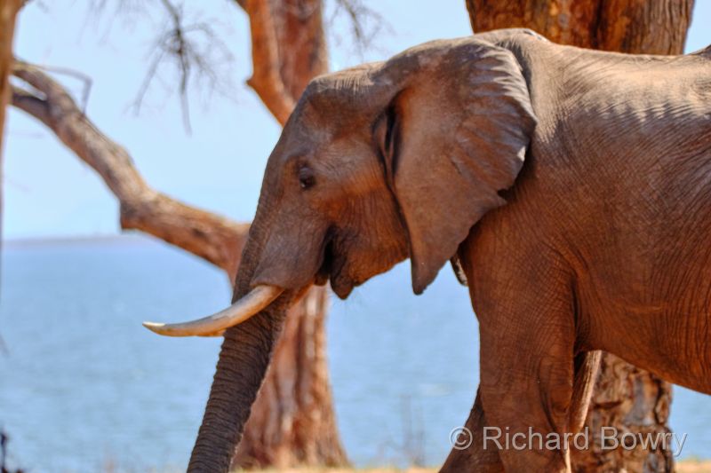 Zimbabwe on 26-11-22 at 09-09-25