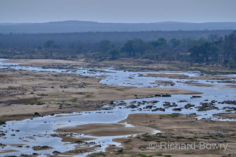 Kruger at 2025-10-15 14.35.11