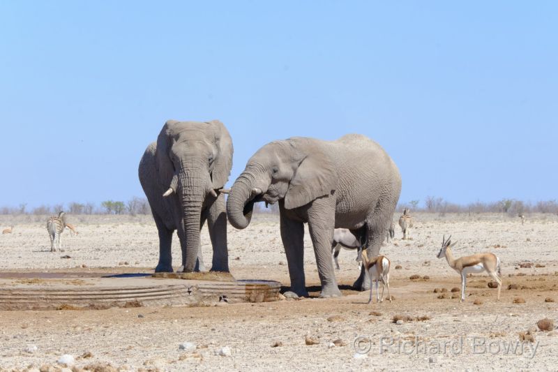 Namibia - 2024-10-29 09.57.132024-11-19 06.40.15