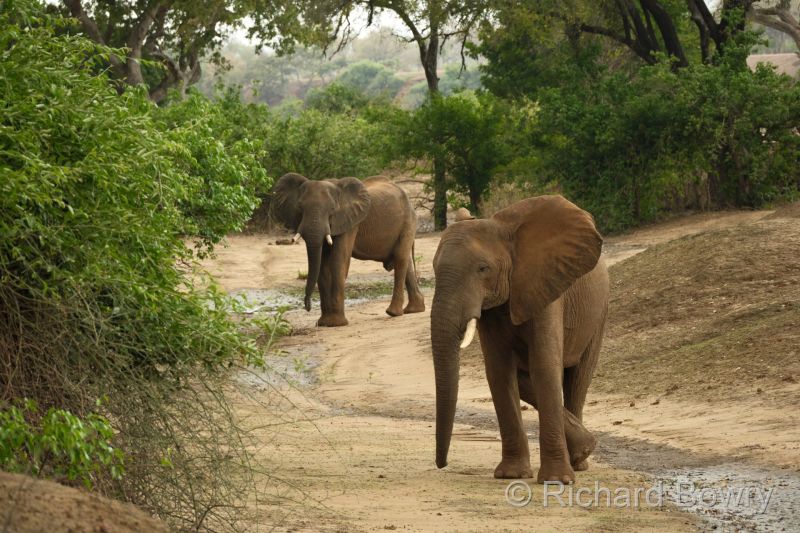 Zimbabwe - 2024-11-07 10.14.522024-11-19 06.44.58