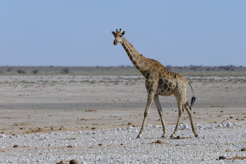 Namibia - 2024-10-28 16.28.492024-11-19 06.39.56