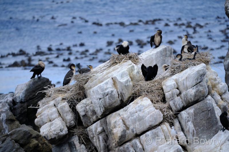 Cape Agulhas at 2025-10-25 11.31.16