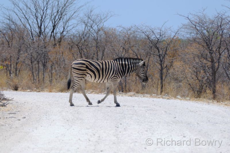Namibia - 2024-10-30 11.36.342024-11-19 06.40.38