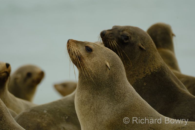 Namibia - 2024-10-24 09.53.302024-11-19 06.38.57