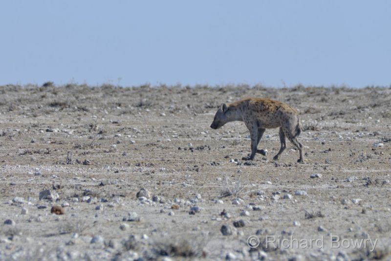 Namibia - 2024-10-30 08.38.372024-11-19 06.40.32