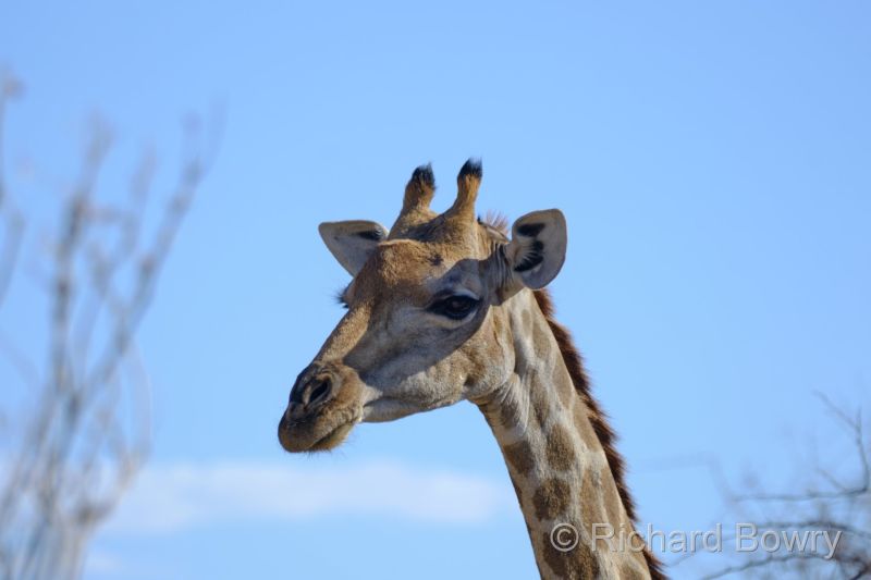 Namibia - 2024-11-01 16.26.062024-11-19 06.41.36