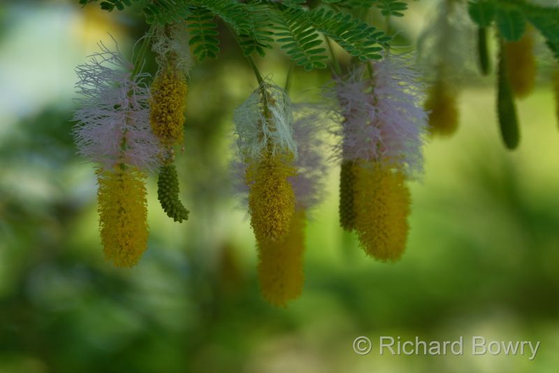 Zimbabwe - 2024-11-04 08.55.012024-11-19 06.44.38