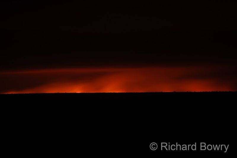 Kruger at 2025-10-16 19.41.53