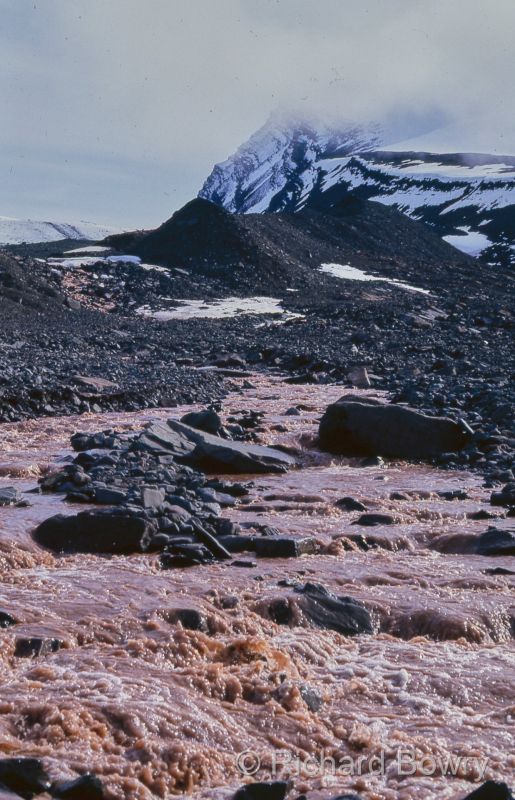 Svalbard (104 of 112)