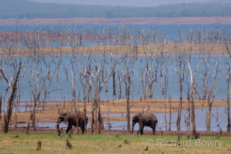 Zimbabwe on 26-11-22 at 10-51-33