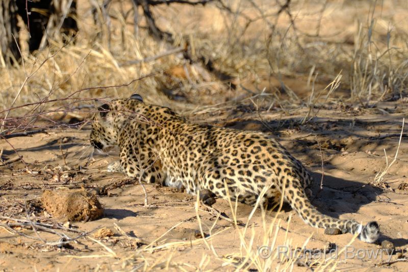 Namibia - 2024-10-31 07.46.112024-11-19 06.40.51