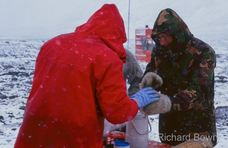 Svalbard (27 of 112)