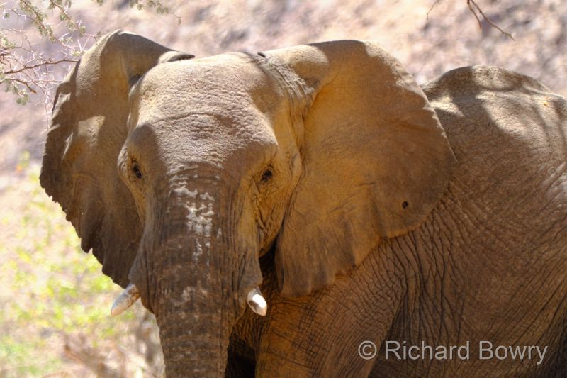 Namibia - 2024-10-27 11.56.592024-11-19 06.39.50